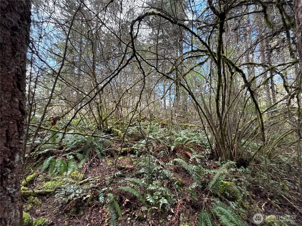 17636 E Clear Lake Boulevard SE Yelm WA 98597