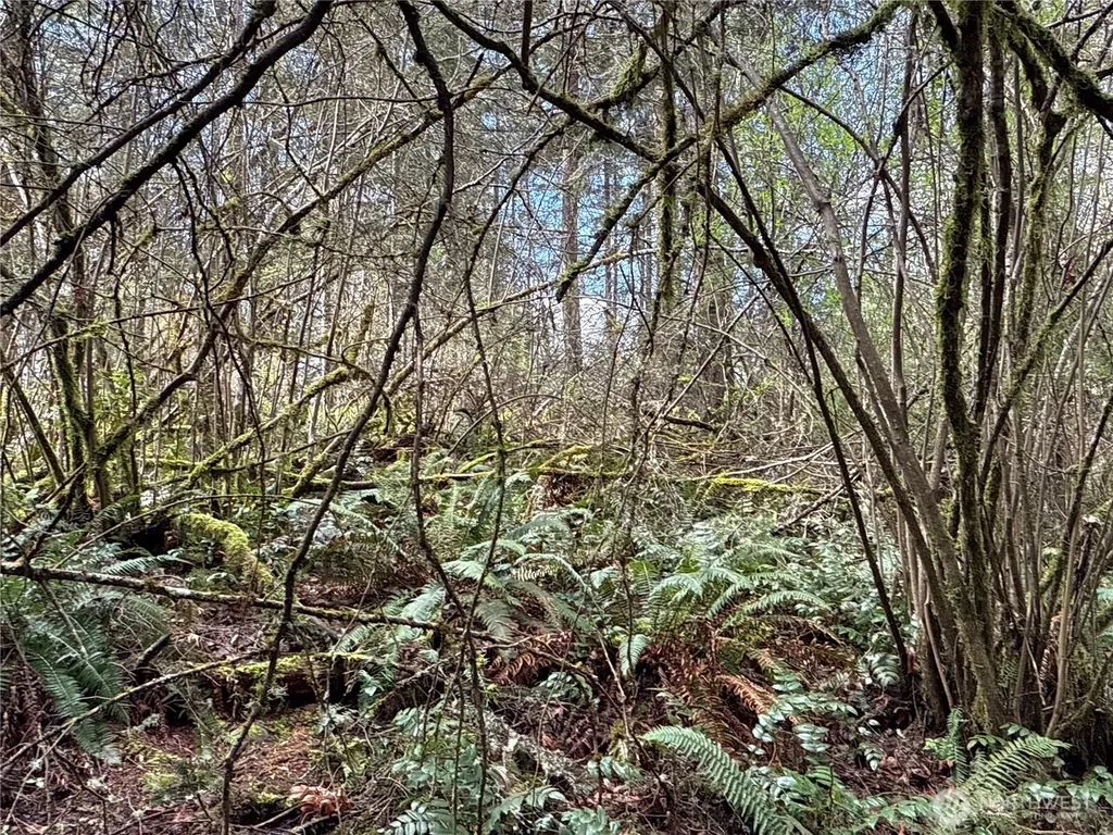 17636 E Clear Lake Boulevard SE Yelm WA 98597