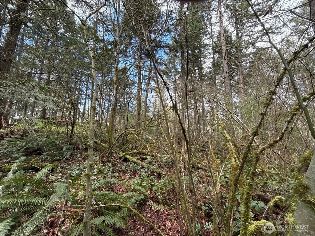 17636 E Clear Lake Boulevard SE Yelm WA 98597