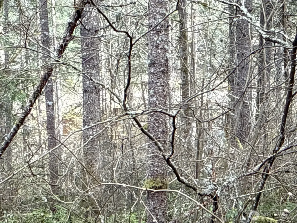 17636 E Clear Lake Boulevard SE Yelm WA 98597