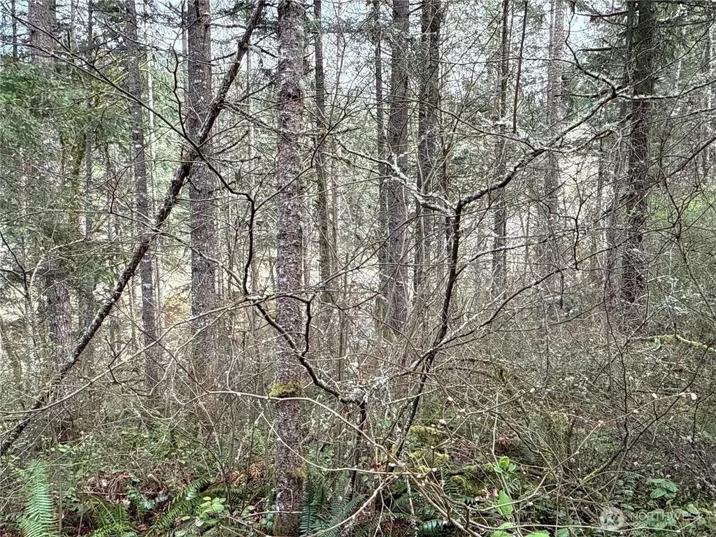 17636 E Clear Lake Boulevard SE Yelm WA 98597