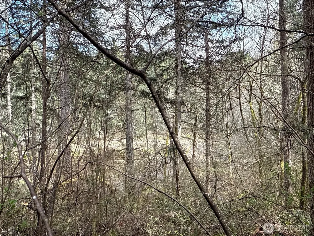 17636 E Clear Lake Boulevard SE Yelm WA 98597