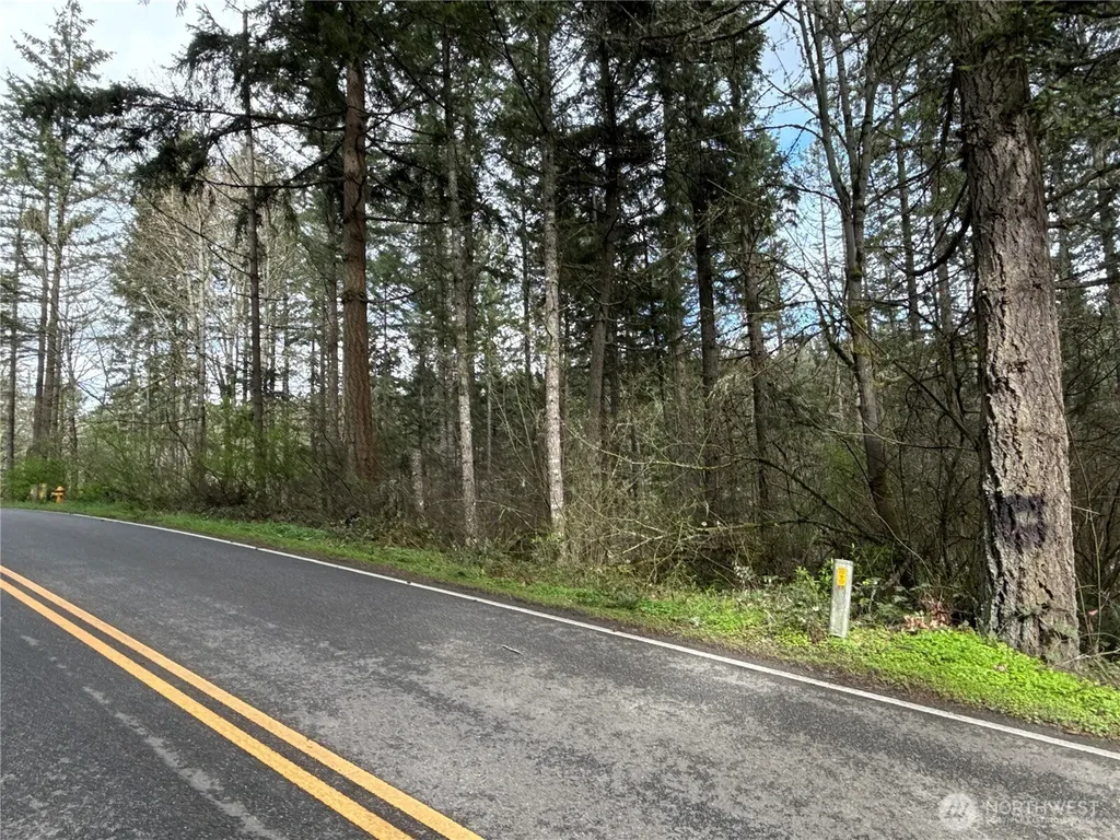 17636 E Clear Lake Boulevard SE Yelm WA 98597