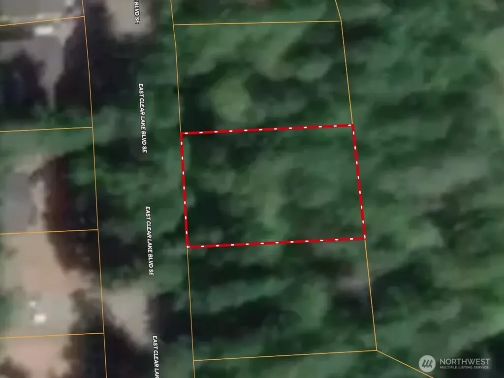 17636 E Clear Lake Boulevard SE Yelm WA 98597