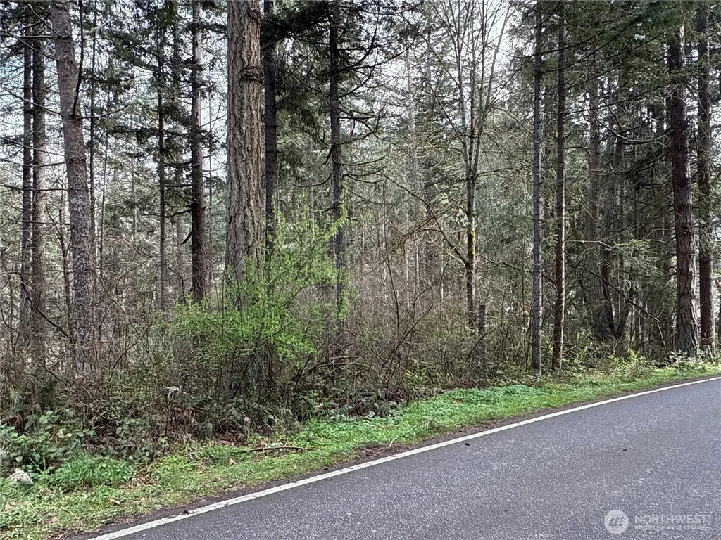17636 E Clear Lake Boulevard SE Yelm WA 98597