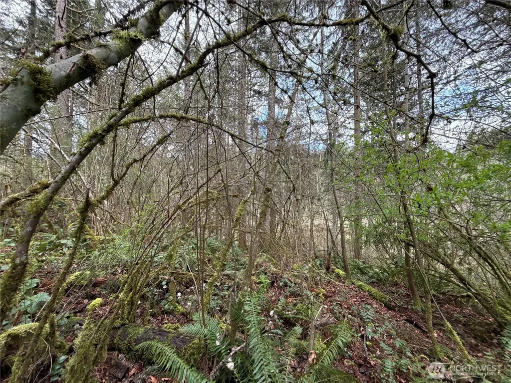 17636 E Clear Lake Boulevard SE Yelm WA 98597