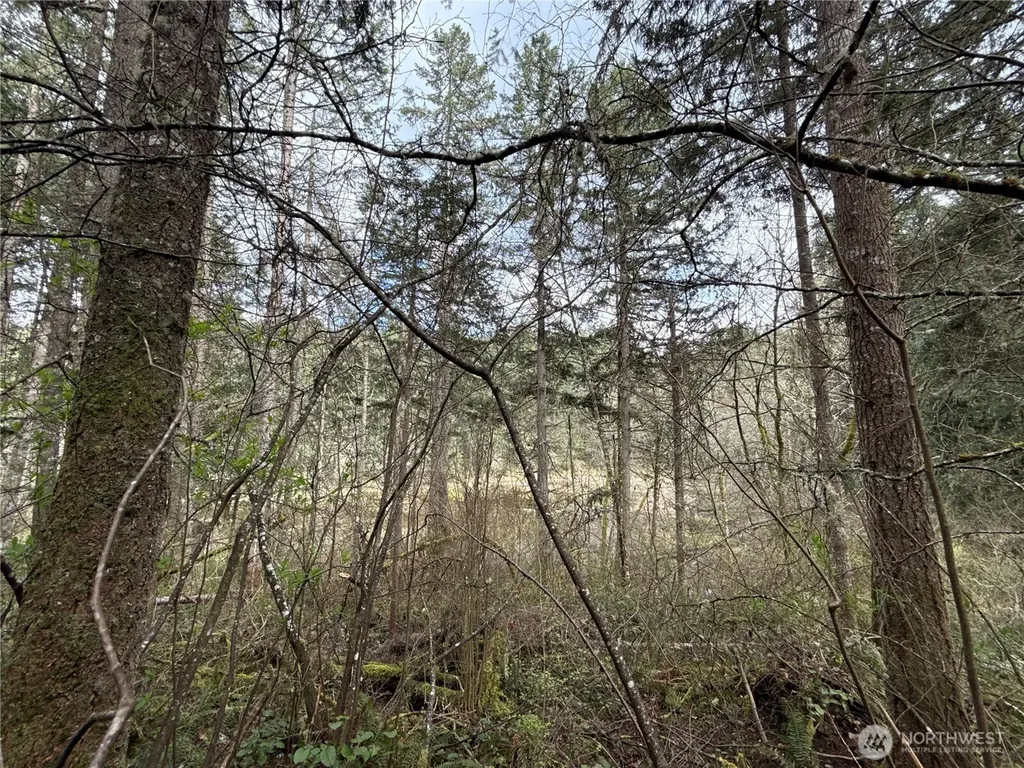 17636 E Clear Lake Boulevard SE Yelm WA 98597
