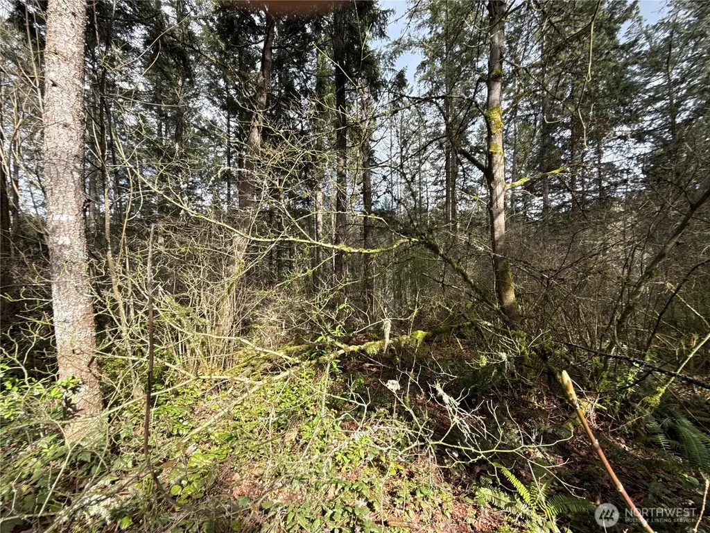 17636 E Clear Lake Boulevard SE Yelm WA 98597