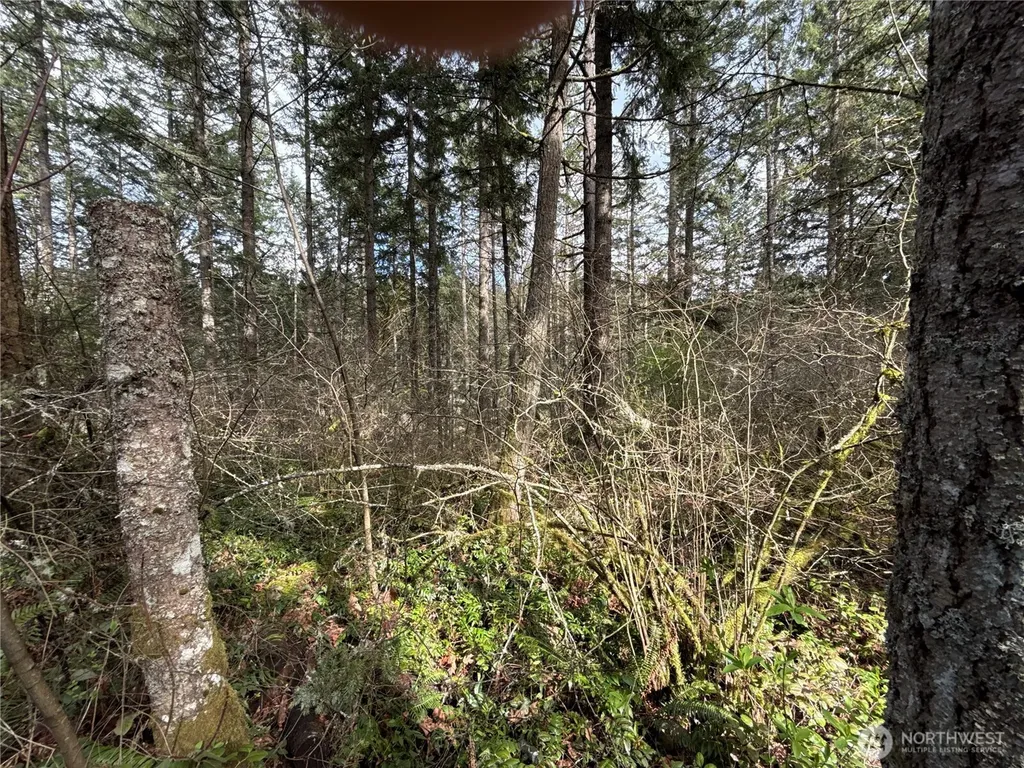 17636 E Clear Lake Boulevard SE Yelm WA 98597