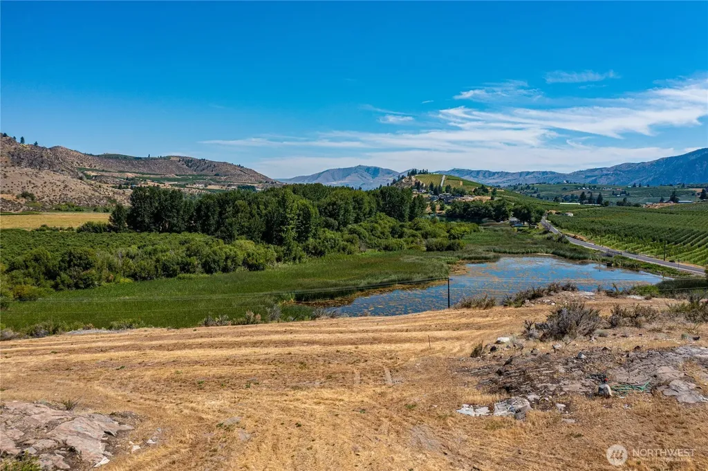 115 Lainey Lane Manson WA 98831