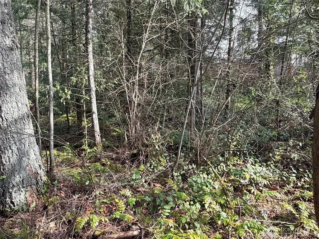149 175th Avenue SE Renton WA 98059