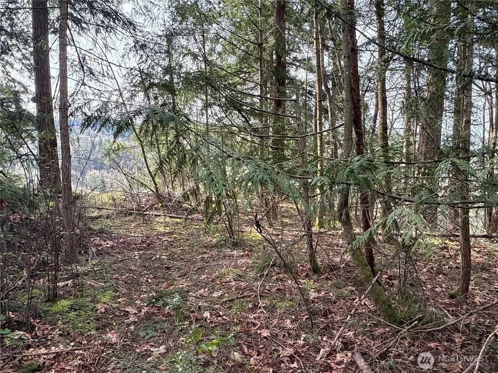 149 175th Avenue SE Renton WA 98059