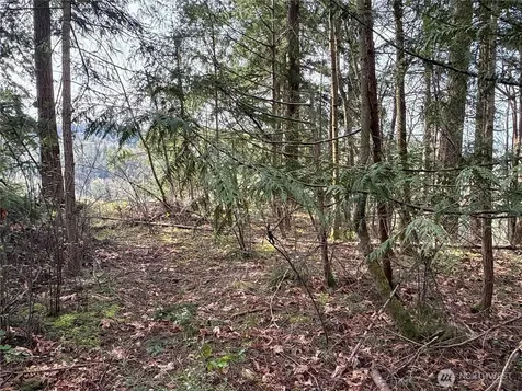 149 175th Avenue SE Renton WA 98059