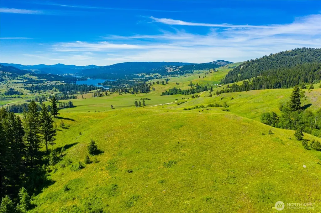 0 Cromwell Road Republic WA 99166