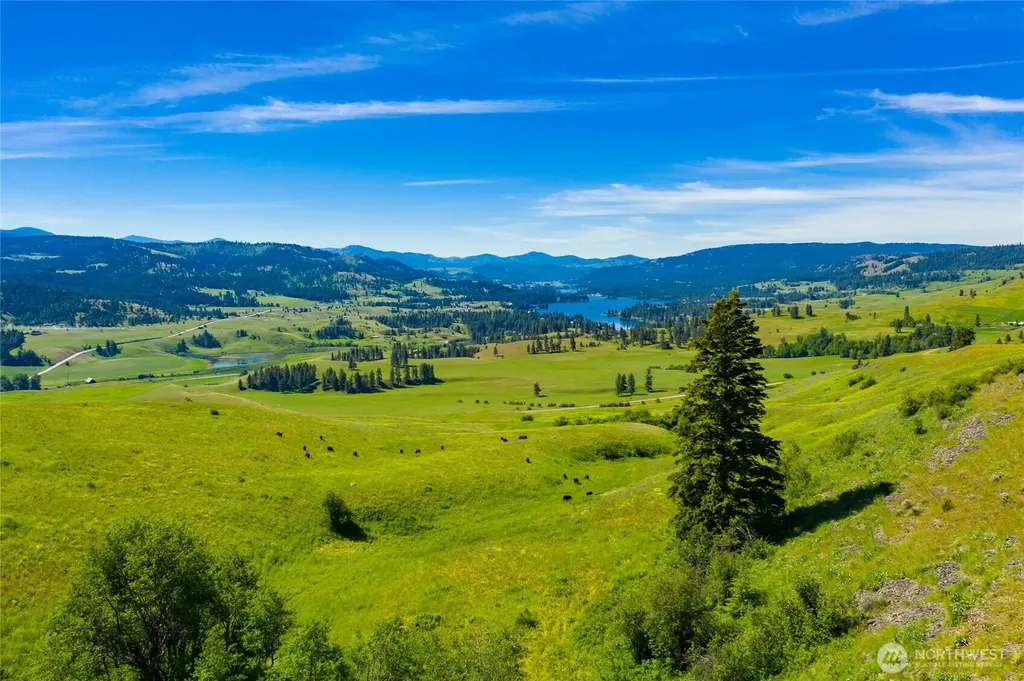 0 Cromwell Road Republic WA 99166
