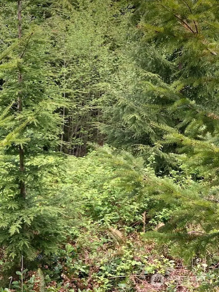53 Dunsmuir Road Port Ludlow WA 98365