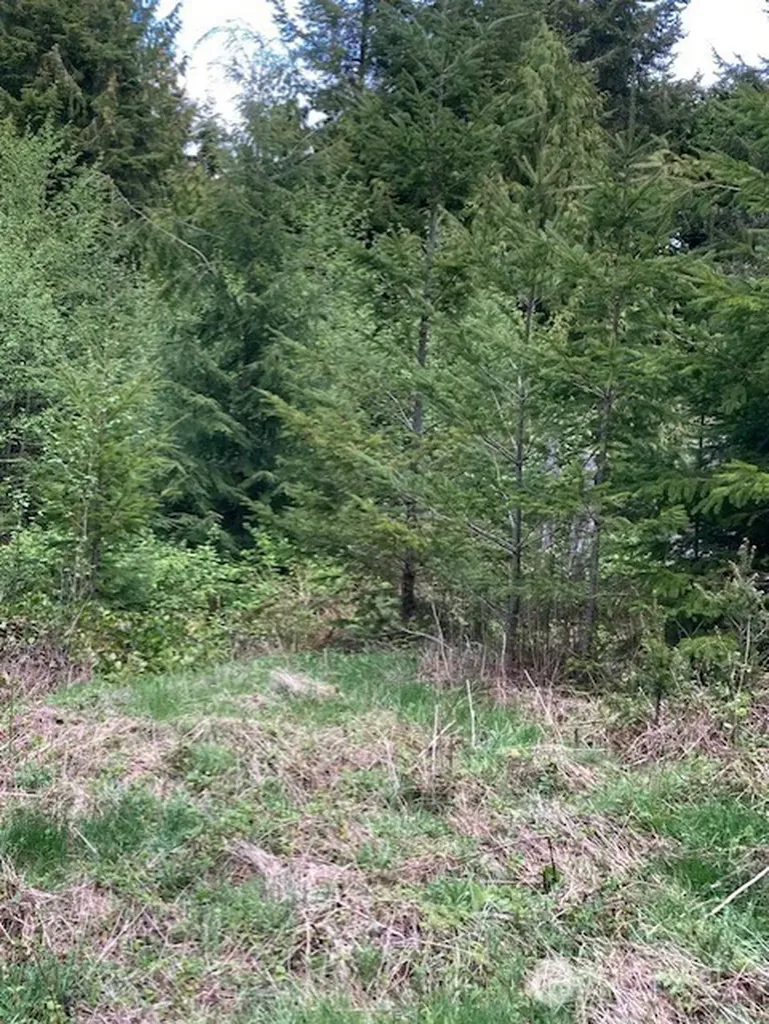 53 Dunsmuir Road Port Ludlow WA 98365