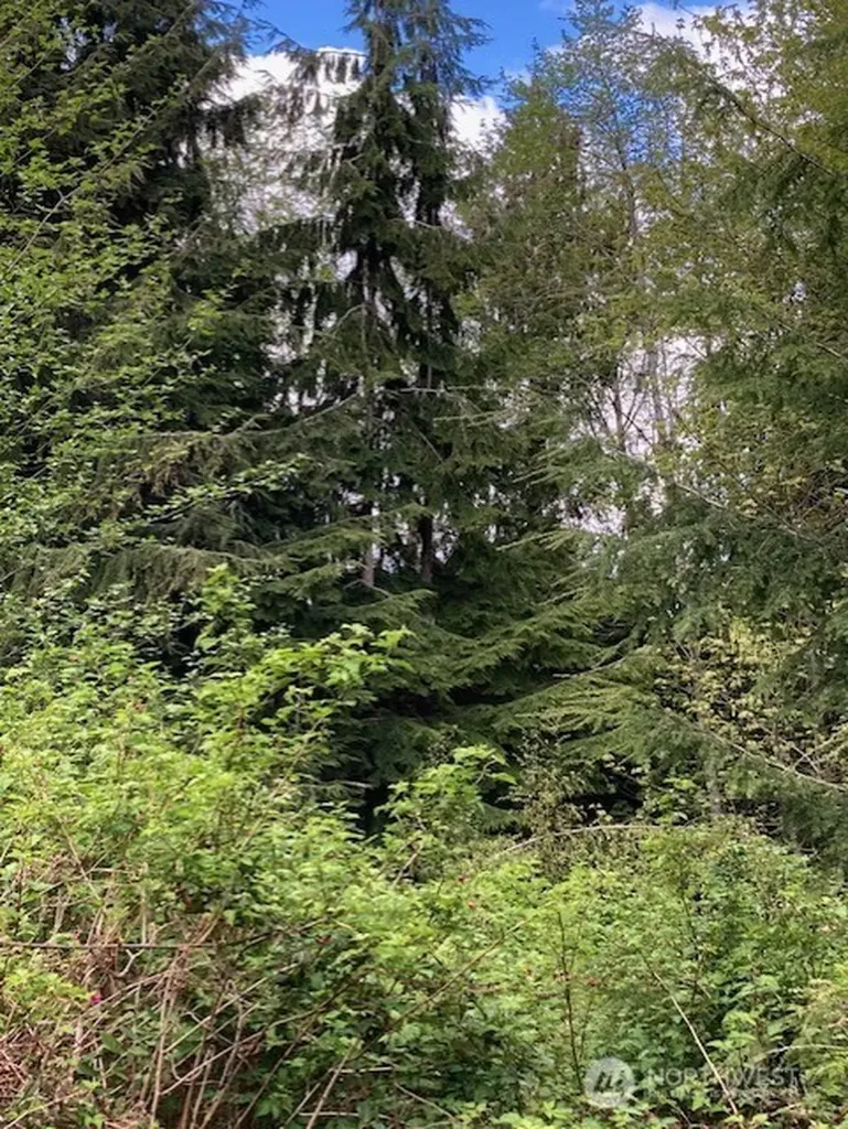 53 Dunsmuir Road Port Ludlow WA 98365