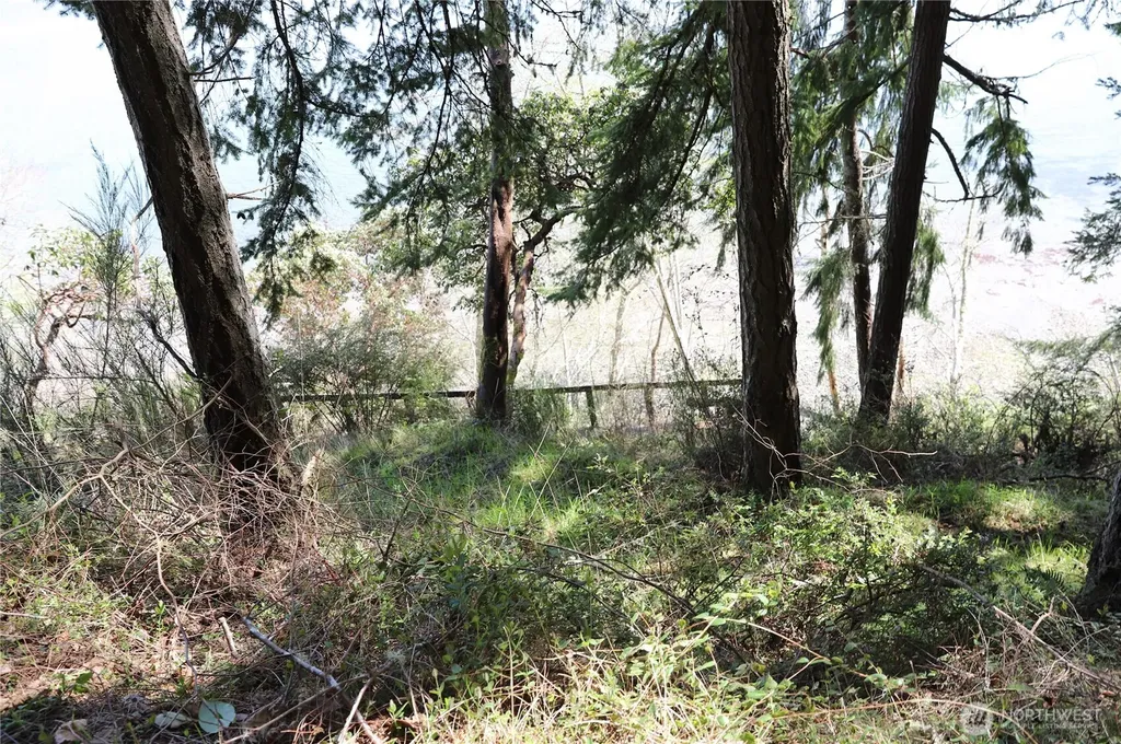 14811 71st Street NW Lakebay WA 98349