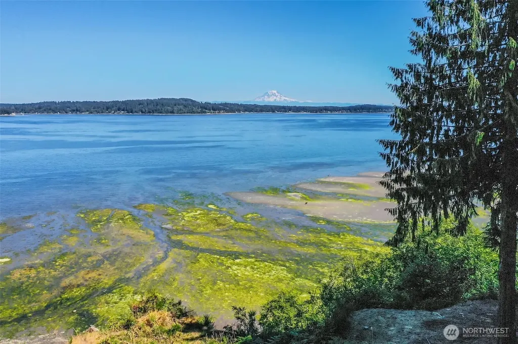 14811 71st Street NW Lakebay WA 98349