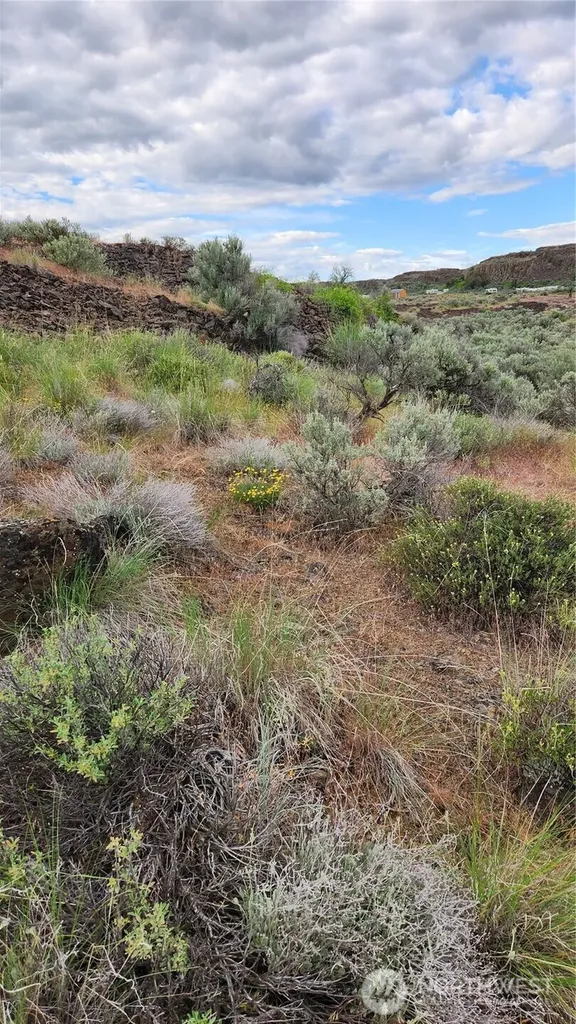 0 Lot 7 Singletree Drive Ephrata WA 98823