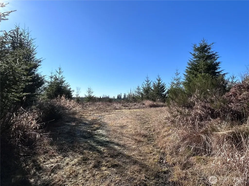 0 Salmon Creek Road Toledo WA 98591