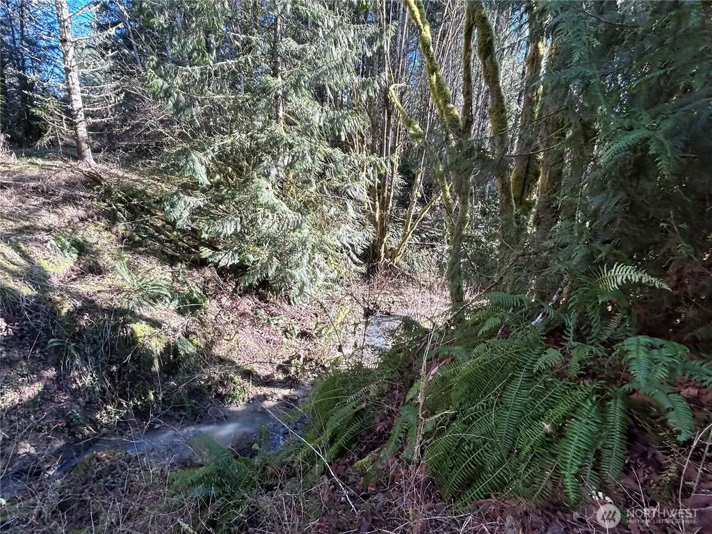 0 Salmon Creek Road Toledo WA 98591