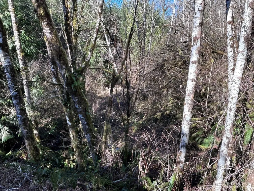 0 Salmon Creek Road Toledo WA 98591