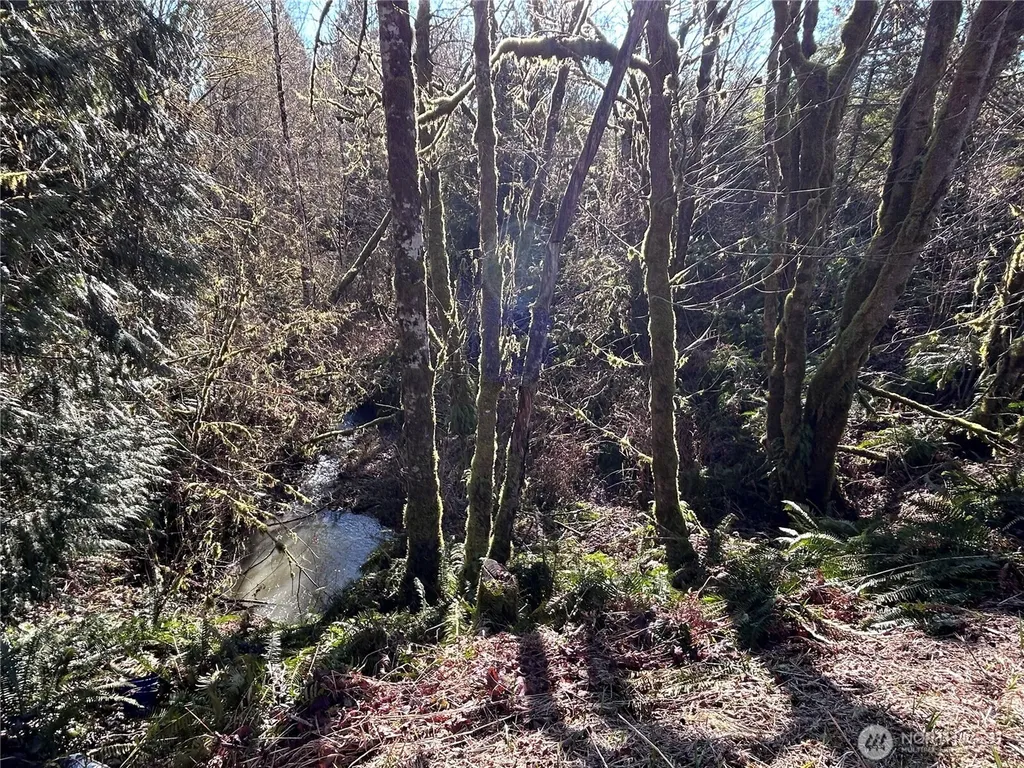 0 Salmon Creek Road Toledo WA 98591