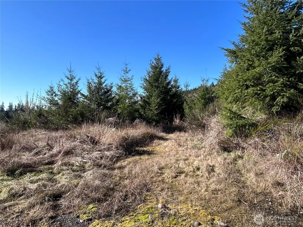 0 Salmon Creek Road Toledo WA 98591