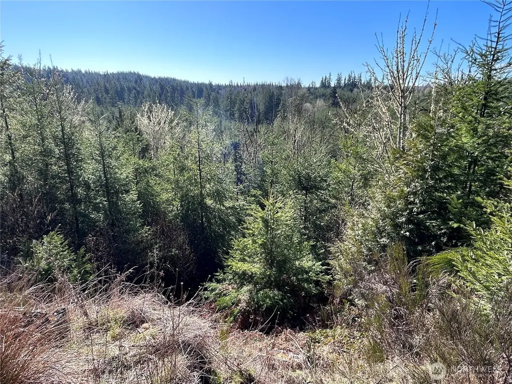 0 Salmon Creek Road Toledo WA 98591
