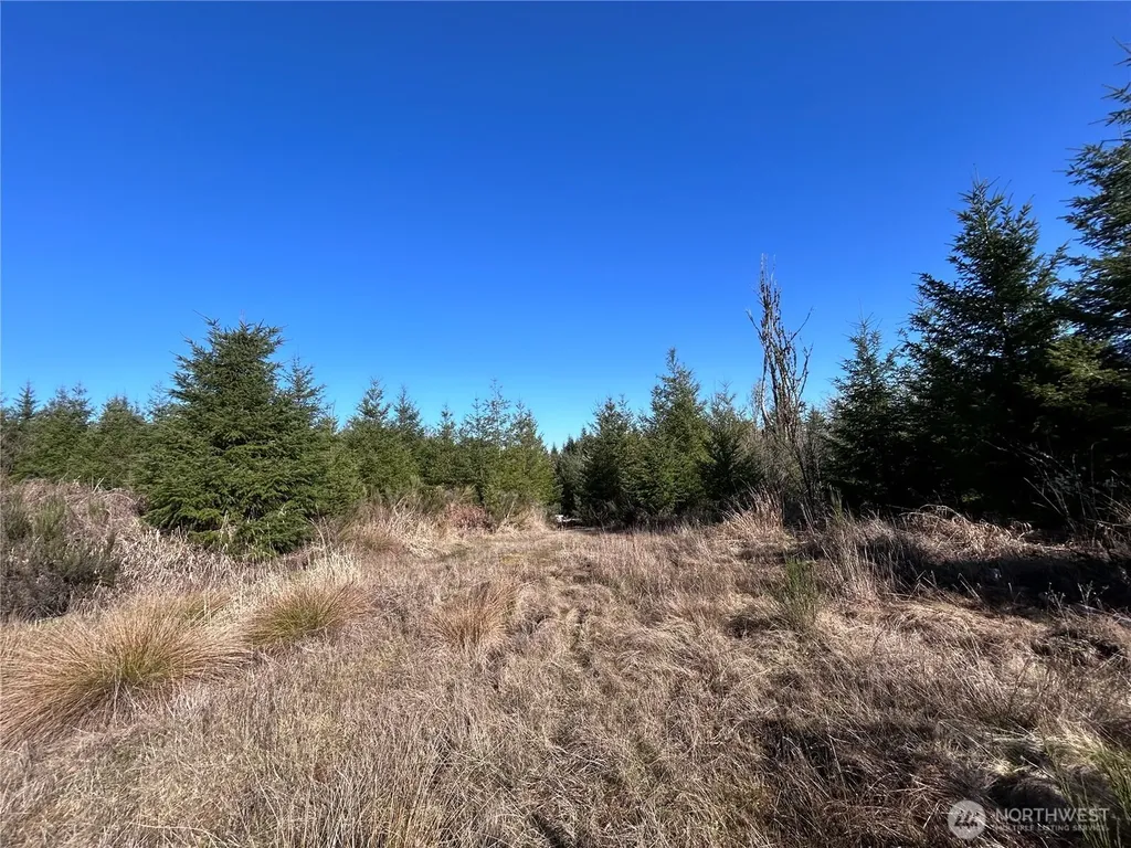0 Salmon Creek Road Toledo WA 98591