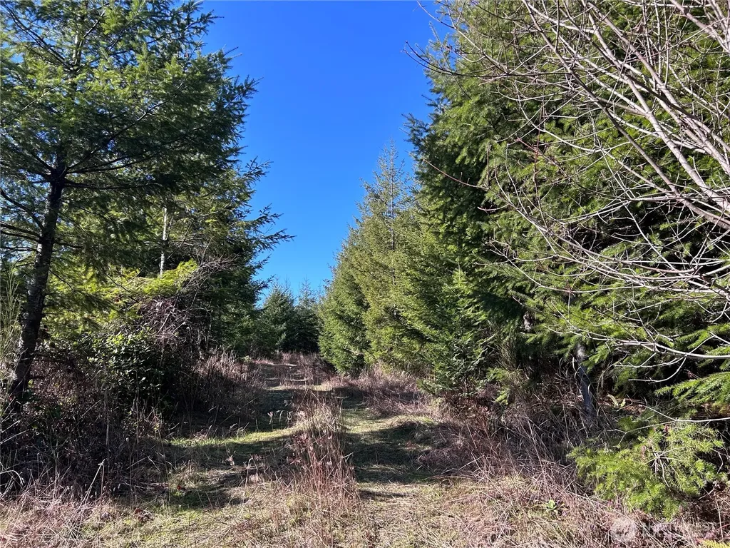 0 Salmon Creek Road Toledo WA 98591