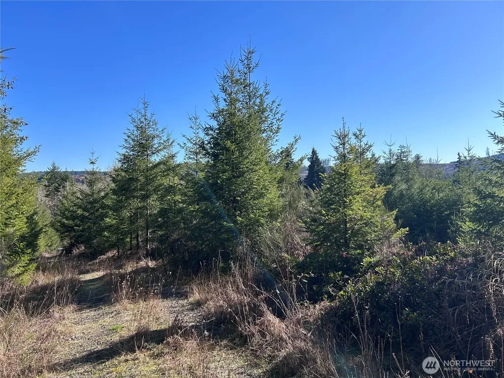 0 Salmon Creek Road Toledo WA 98591
