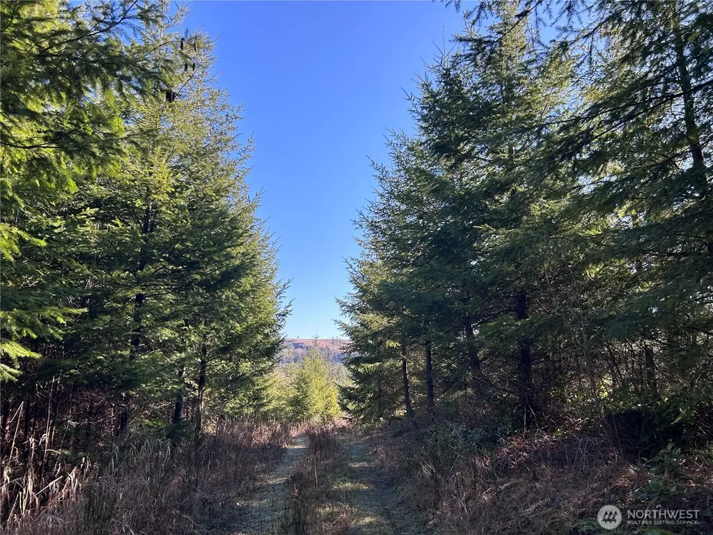 0 Salmon Creek Road Toledo WA 98591