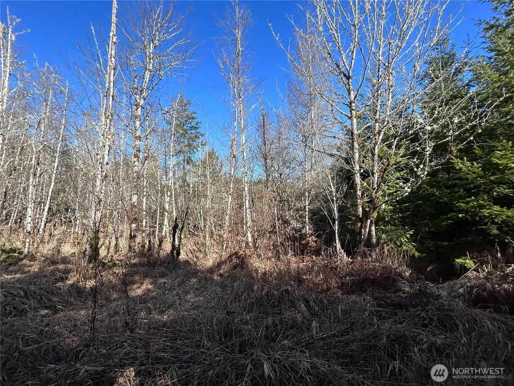 0 Salmon Creek Road Toledo WA 98591