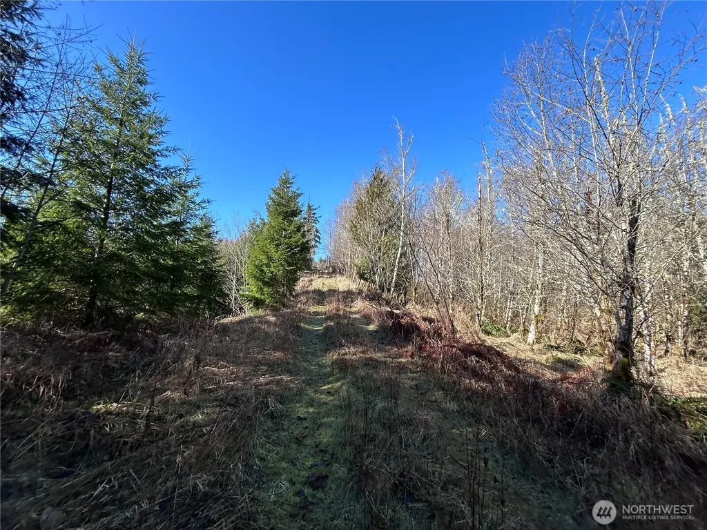 0 Salmon Creek Road Toledo WA 98591