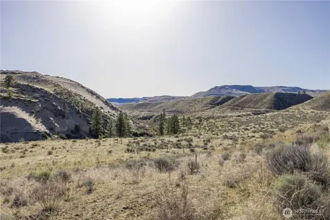 1163 Strahl Canyon Road Grand Coulee WA 99133