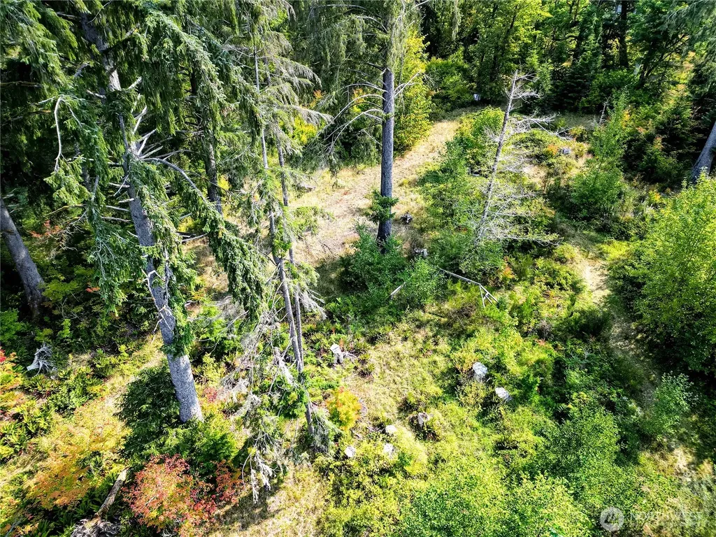 203503 Highway 101 Beaver WA 98305