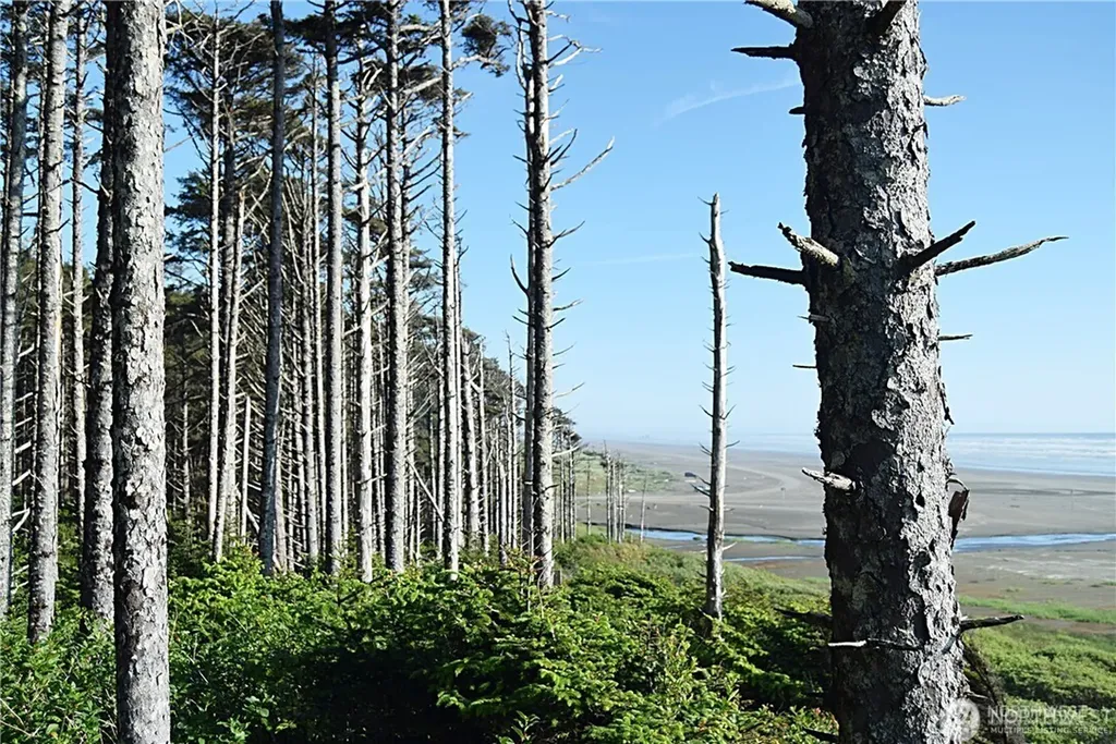 5 & 6 Roosevelt Beach Lots Pacific Beach WA 98571