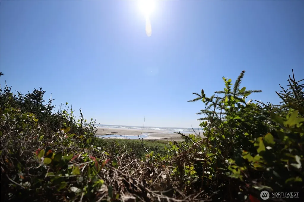 5 & 6 Roosevelt Beach Lots Pacific Beach WA 98571