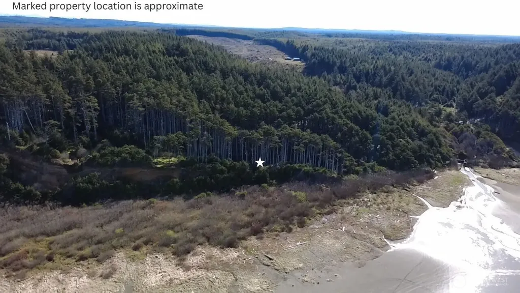 5 & 6 Roosevelt Beach Lots Pacific Beach WA 98571