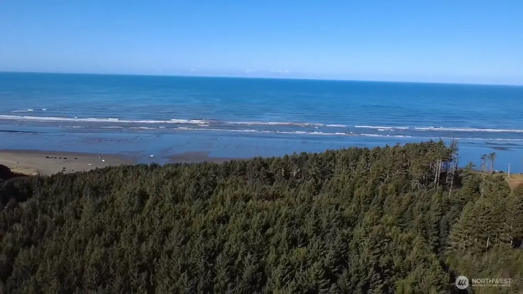 5 & 6 Roosevelt Beach Lots Pacific Beach WA 98571