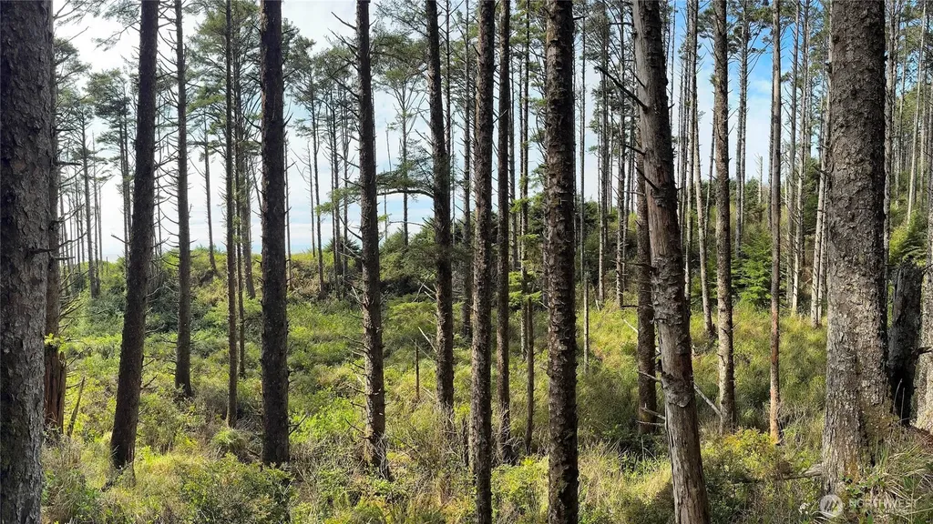 5 & 6 Roosevelt Beach Lots Pacific Beach WA 98571