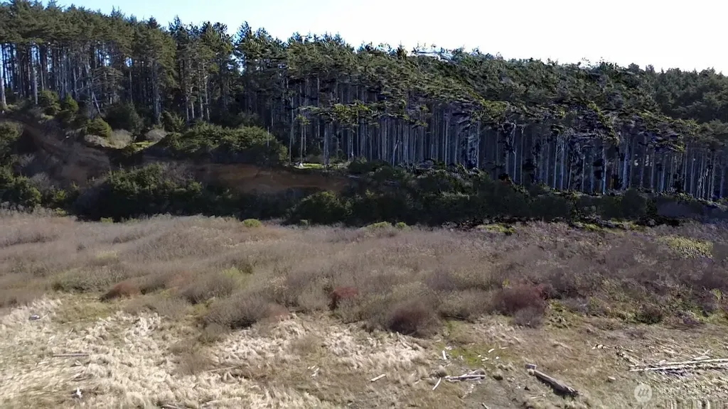 5 & 6 Roosevelt Beach Lots Pacific Beach WA 98571