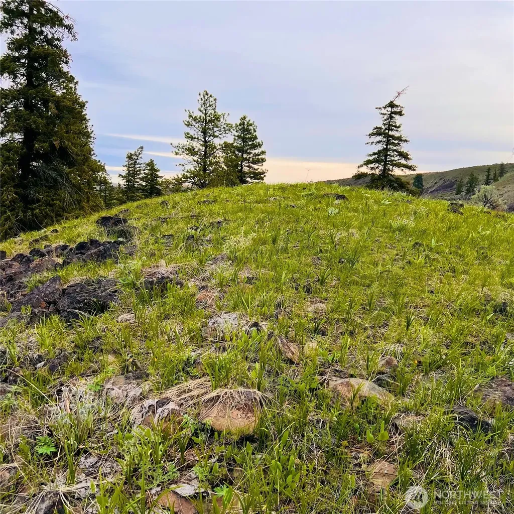 66 Coyote Lane Waterville WA 98843