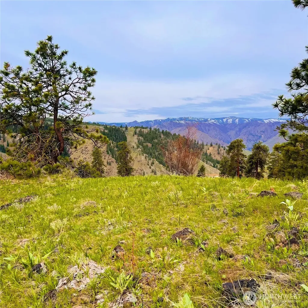 66 Coyote Lane Waterville WA 98843