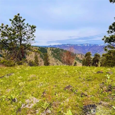 66 Coyote Lane Waterville WA 98843