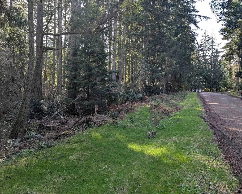 10325 Totem Way Anderson Island WA 98303