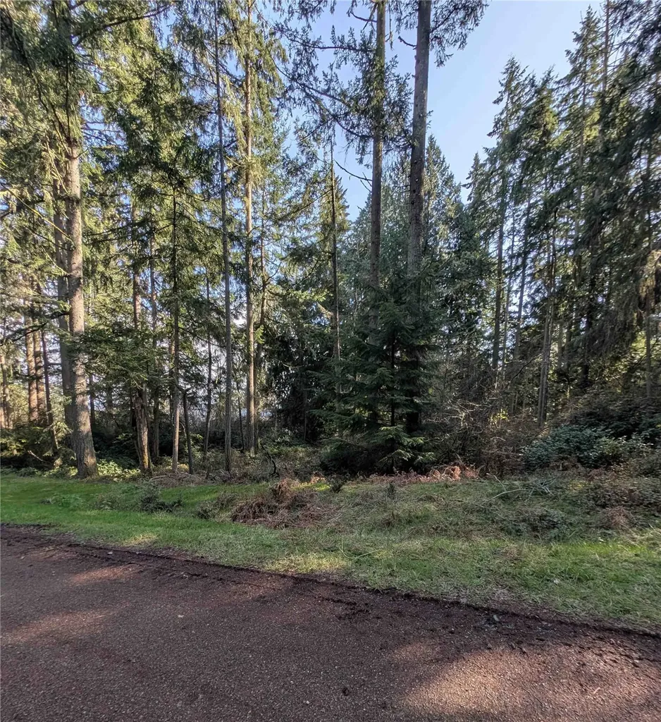 10325 Totem Way Anderson Island WA 98303